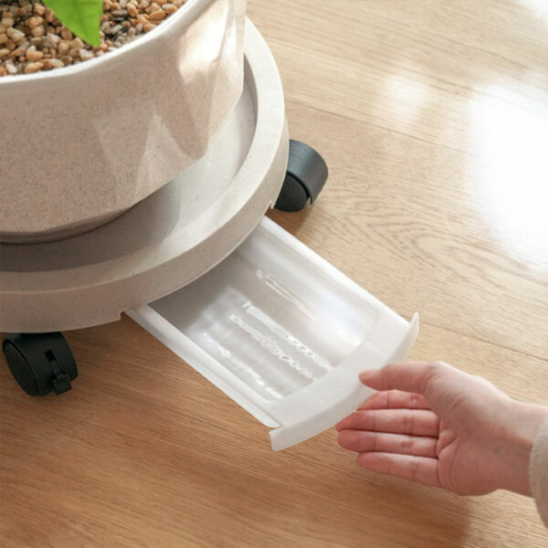 Rollable Plant Pot Platform (With Drainer) Movable Plant Pot Stand Movable Plant Rack Plant Stand With Wheels Style Degree Sg Singapore