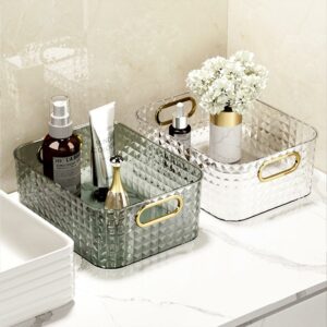 Exquisitely Tinted Storage Bin Stylish Storage Bins Transparent Aesthetic Storage Bins For Shelves Organizing Essentials Style Degree Sg Singapore