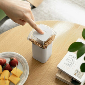 Press & Pop Toothpick Holder Floss Folder Storage Retractable Toothpick Holder Kitchen Accessories Style Degree Sg Singapore