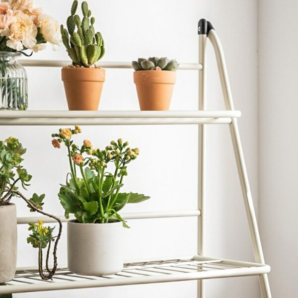 Canopy Plant & Pots Foldable Stand Plant Holder Stand For Potted Plants And Succulents Space-saving Flower Pot Stand For Small Homes Plant Stand For Balcony Singapore Sg Style Degree