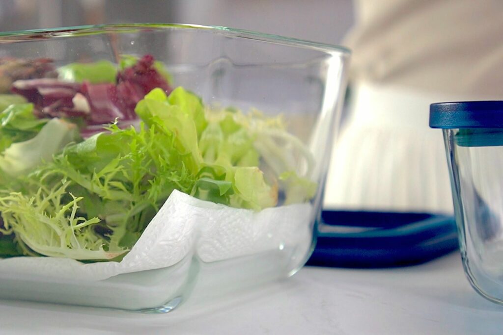 How to prevent salad greens from wilting, lining container with paper towel to absorb moisture, Style Degree Singapore Sg